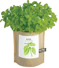 Load image into Gallery viewer, Organic Basil Garden in a Bag