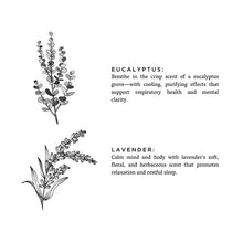 Load image into Gallery viewer, Eucalyptus and Lavender Mini Linen Spray
