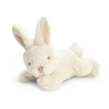 Load image into Gallery viewer, Plush Bunny - You Belong Here