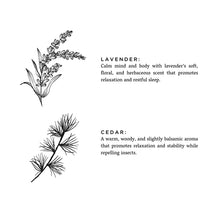 Load image into Gallery viewer, Lavender & Cedar