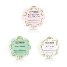 Load image into Gallery viewer, Elevation Daisy Spongette