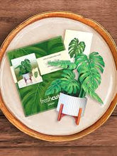 Load image into Gallery viewer, Mini Monstera Pop Up Card