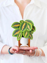 Load image into Gallery viewer, Mini Prayer Plant Pop-Up Card