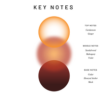 Load image into Gallery viewer, Saddle Up Santal Eau De Parfum