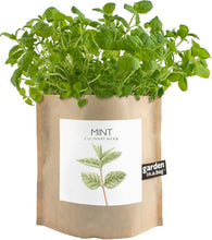 Load image into Gallery viewer, Organic Mint Garden in a Bag