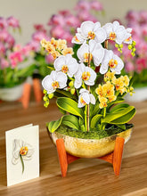Load image into Gallery viewer, Serenity Orchid - Pop Up Bouquet