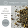 Load image into Gallery viewer, Spa Bliss Herbal Mini Tea Gift Tube