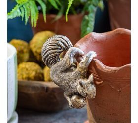 plant pot hanging ornament Squirrel Pot Hanger – Cultivated