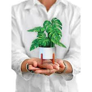 Mini Monstera Pop Up Card