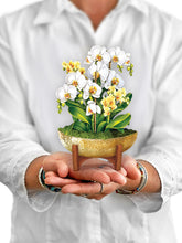 Load image into Gallery viewer, MINI Serenity Orchid - Pop Up Bouquet
