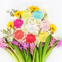 Load image into Gallery viewer, Daisy Spongette
