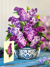 Load image into Gallery viewer, Garden Lilac - Pop Up Bouquet
