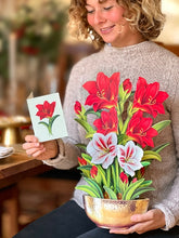 Load image into Gallery viewer, Scarlet Amaryllis Pop-Up Bouquet Card
