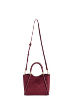 Load image into Gallery viewer, Danny Mini Tote
